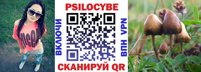 Псилоцибиновые грибы Cubensis  что такое наркотик  Кохма 